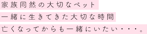 家族同然の大切なペット一緒に生きてきた大切な時間亡くなってからも一緒にいたい・・・。