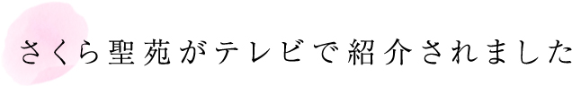 さくら聖苑がテレビで紹介されました