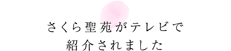 さくら聖苑がテレビで紹介されました